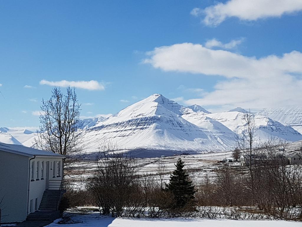 Husabakki Guesthouse Dalvík Exterior foto